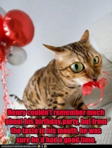 Funny Birthday Cakes on Lolcat Birthday Party Cat Kitten Cicy Li Drunk Stupid Balloon Cake Fun