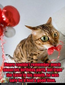 funny lolcat birthday party cat kitten cicy li drunk stupid balloon cake fun