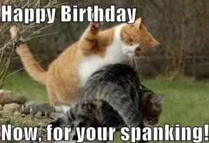 lolcatbirthdayspanking