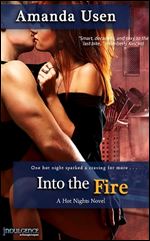 Into the Fire by Amanda Usen Original Cover
